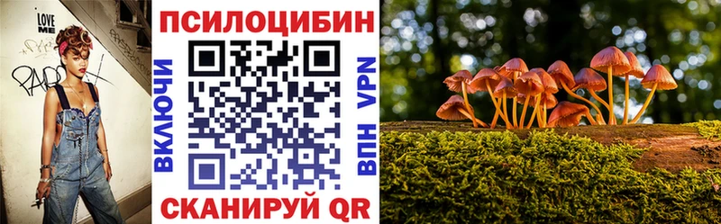 Галлюциногенные грибы MAGIC MUSHROOMS  Купить закладки  Ковров 